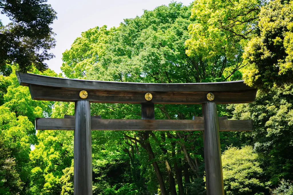 台灣人衝沖衝！無敵勁辣嘉新沖繩攻略