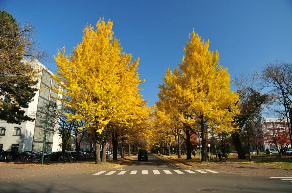 沖繩之美盡收眼底！探索台灣頂尖沖繩旅遊旅行社