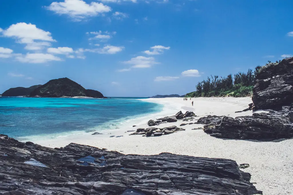 在沖繩暢遊無阻！icoca暢遊沖繩攻略