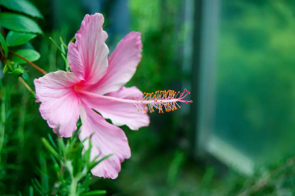 沖繩出國攻略：暢遊琉球群島的陽光天堂