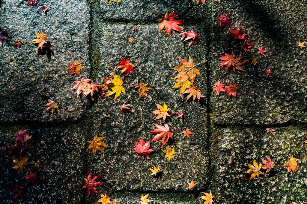 沖繩本部元氣村：樂活天堂盡在眼前