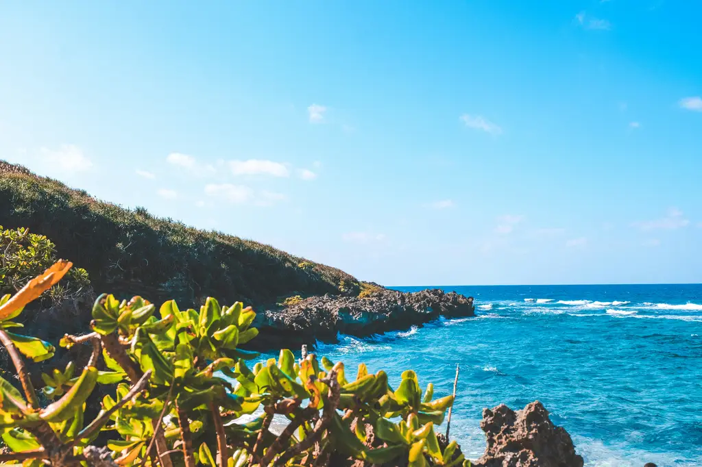 沖繩包車推薦攻略：輕鬆暢遊魅力島嶼