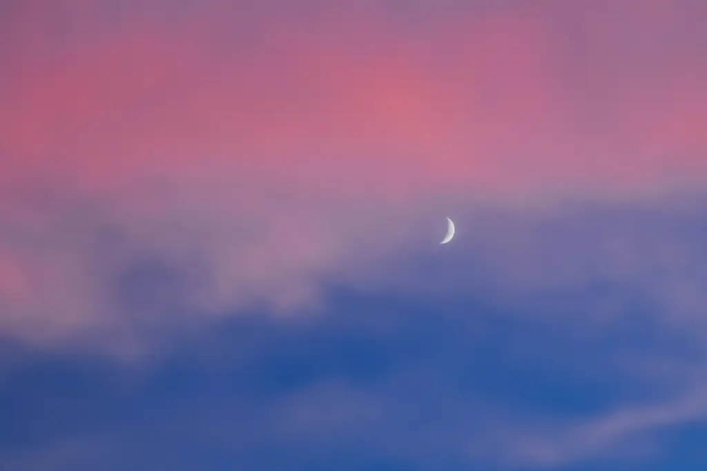 那霸國際通街蘭塔納酒店：穿梭時空的日式奢華住宿體驗